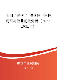 中國“光伏+”模式行業市場調研與行業前景分析（2025-2031年）