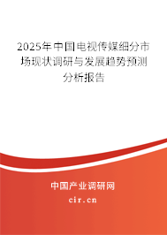 2025年中國(guó)電視傳媒細(xì)分市場(chǎng)現(xiàn)狀調(diào)研與發(fā)展趨勢(shì)預(yù)測(cè)分析報(bào)告