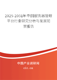 2025-2031年中國服務器管理平臺行業研究分析與發展前景報告