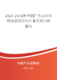 2025-2031年中國廣告公司市場調查研究與行業(yè)前景分析報告