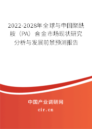 2022-2028年全球與中國聚酰胺（PA）合金市場現狀研究分析與發展前景預測報告