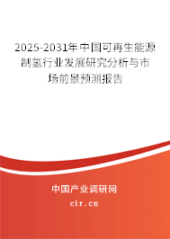 2025-2031年中國可再生能源制氫行業發展研究分析與市場前景預測報告
