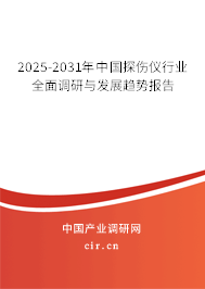 2025-2031年中國探傷儀行業全面調研與發展趨勢報告