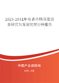 2025-2031年電表市場深度調查研究與發展前景分析報告