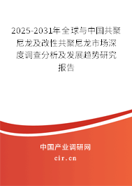 （最新）全球與中國共聚尼龍及改性共聚尼龍市場深度調查分析及發展趨勢研究報告