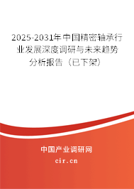 2025-2031年中國精密軸承行業發展深度調研與未來趨勢分析報告（已下架）