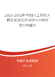 2025-2031年中國人工智能大模型發展現狀調研與市場前景分析報告