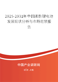 2025-2031年中國柔性鋰電池發展現狀分析與市場前景報告