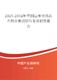 2025-2031年中國山東化妝品市場全面調研與發展趨勢報告