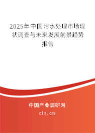2025年中國污水處理市場現狀調查與未來發展前景趨勢報告