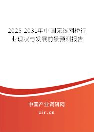 2024-2030年中國無線網橋行業(yè)現(xiàn)狀與發(fā)展前景預測報告