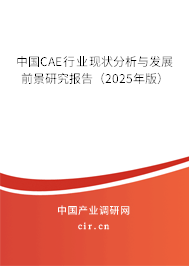 中國CAE行業現狀分析與發展前景研究報告（2025年版）