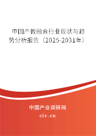 中國產教融合行業現狀與趨勢分析報告（2025-2031年）