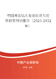 中國沖擊鉆頭發展現狀與前景趨勢預測報告（2025-2031年）