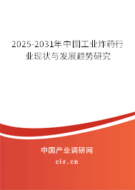 2025-2031年中國工業炸藥行業現狀與發展趨勢研究