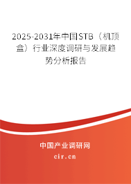 2025-2031年中國STB（機頂盒）行業深度調研與發展趨勢分析報告