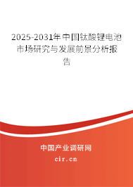 2025-2031年中國鈦酸鋰電池市場研究與發展前景分析報告