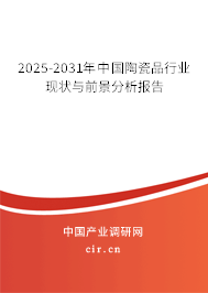 2025-2031年中國陶瓷品行業(yè)現(xiàn)狀與前景分析報告