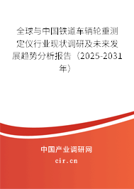 全球與中國鐵道車輛輪重測定儀行業(yè)現(xiàn)狀調(diào)研及未來發(fā)展趨勢分析報告（2025-2031年）