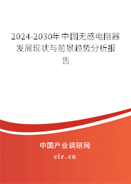 2024-2030年中國無感電阻器發展現狀與前景趨勢分析報告