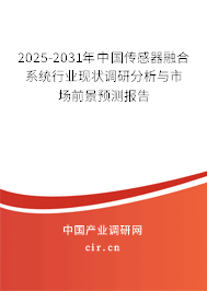 2024-2030年中國傳感器融合系統行業現狀調研分析與市場前景預測報告