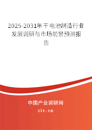 2025-2031年干電池制造行業(yè)發(fā)展調(diào)研與市場前景預測報告