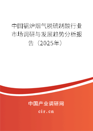 中國鍋爐煙氣脫硫制酸行業市場調研與發展趨勢分析報告（2025年）