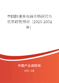 中國快速充電器市場研究與前景趨勢預測（2025-2031年）