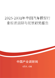 2024-2030年中國汽車模型行業(yè)現(xiàn)狀調(diào)研與前景趨勢報告