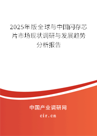2025年版全球與中國閃存芯片市場現狀調研與發(fā)展趨勢分析報告