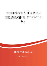 中國伸縮撐桿行業現狀調研與前景趨勢報告（2024-2030年）