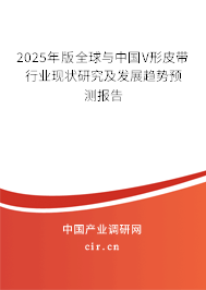2024年版全球與中國(guó)V形皮帶行業(yè)現(xiàn)狀研究及發(fā)展趨勢(shì)預(yù)測(cè)報(bào)告