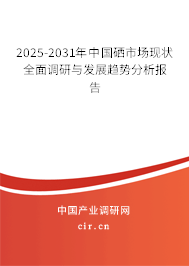 2025-2031年中國硒市場現狀全面調研與發展趨勢分析報告