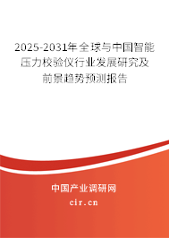 2025-2031年全球與中國智能壓力校驗儀行業發展研究及前景趨勢預測報告