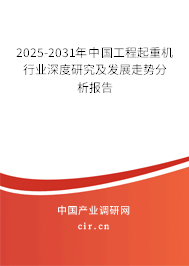 2025-2031年中國工程起重機行業深度研究及發展走勢分析報告