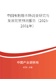 中國布拖鞋市場調(diào)查研究與發(fā)展前景預(yù)測報(bào)告（2025-2031年）