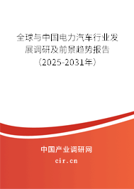 全球與中國電力汽車行業發展調研及前景趨勢報告（2025-2031年）