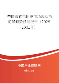 中國管式電阻爐市場現狀與前景趨勢預測報告（2025-2031年）