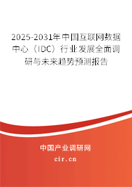 2025-2031年中國互聯網數據中心（IDC）行業發展全面調研與未來趨勢預測報告