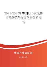 2025-2030年中國LED熒光棒市場研究與發展前景分析報告