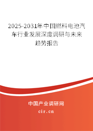 2025-2031年中國燃料電池汽車行業(yè)發(fā)展深度調研與未來趨勢報告