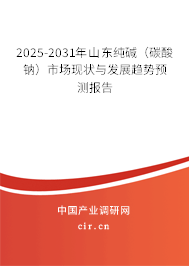 2025-2031年山東純堿（碳酸鈉）市場現(xiàn)狀與發(fā)展趨勢預(yù)測報告