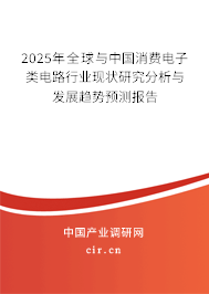 2025年全球與中國消費電子類電路行業(yè)現(xiàn)狀研究分析與發(fā)展趨勢預測報告