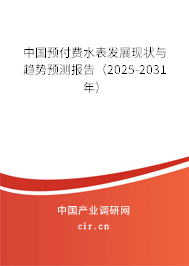 中國預(yù)付費水表發(fā)展現(xiàn)狀與趨勢預(yù)測報告（2025-2031年）