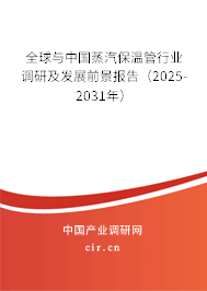 全球與中國蒸汽保溫管行業調研及發展前景報告(2025-2031年) 全球與中國蒸汽保溫管行業調研及發展前景報告(2025-2031年)