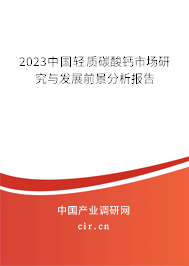 2023中國輕質碳酸鈣市場研究與發展前景分析報告
