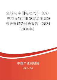 全球與中國電動汽車（EV）充電設施行業(yè)發(fā)展深度調研與未來趨勢分析報告（2024-2030年）