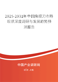 2025-2031年中國角膜刀市場現狀深度調研與發展趨勢預測報告