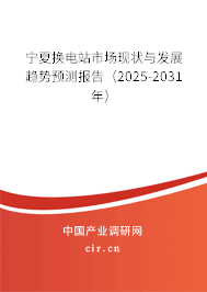 寧夏換電站市場現狀與發展趨勢預測報告（2025-2031年）