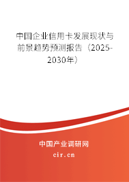 中國(guó)企業(yè)信用卡發(fā)展現(xiàn)狀與前景趨勢(shì)預(yù)測(cè)報(bào)告（2025-2030年）